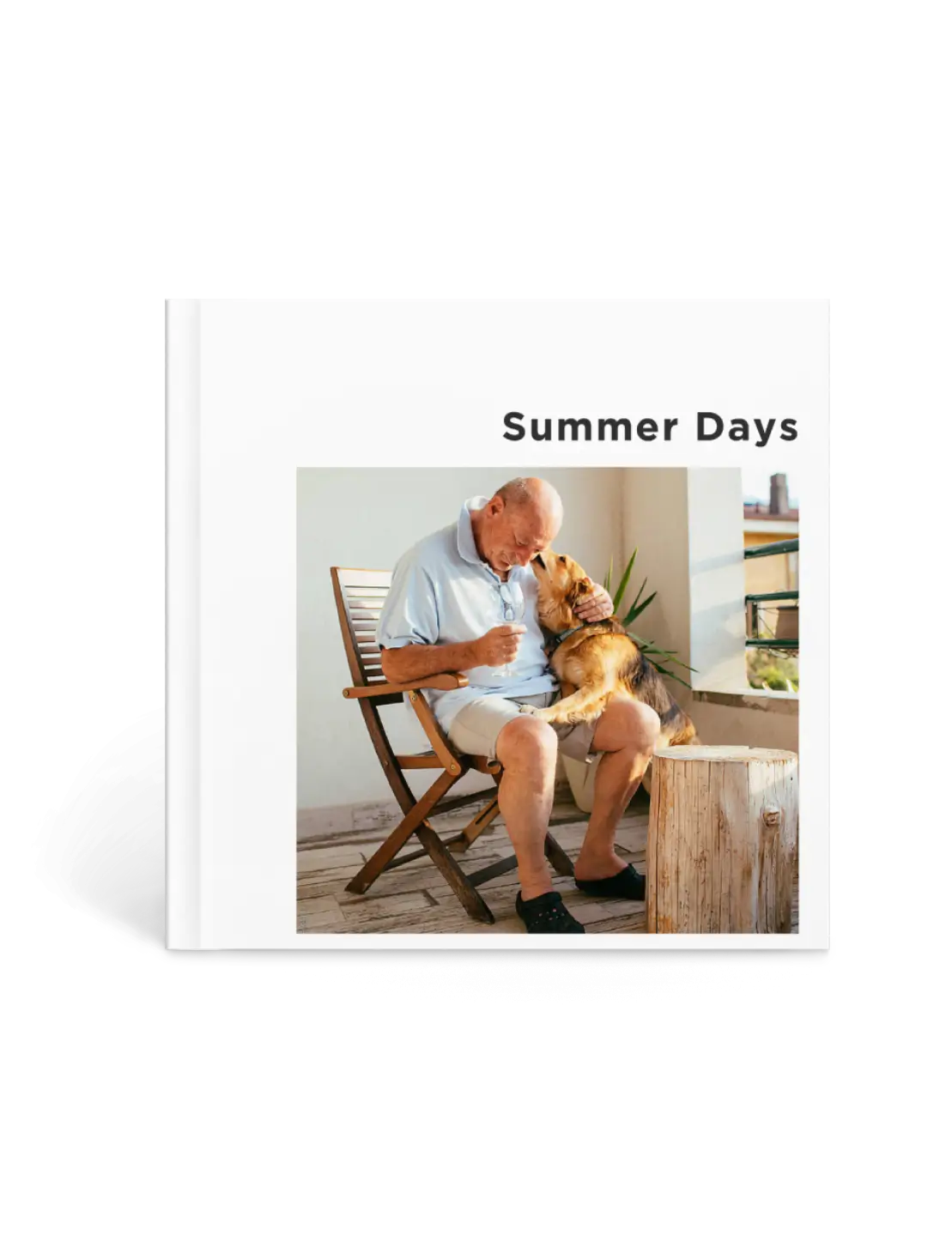 dog summer vacation album, pet memory book, sunny day dog photos, personalized pet keepsake, dog lover gift album