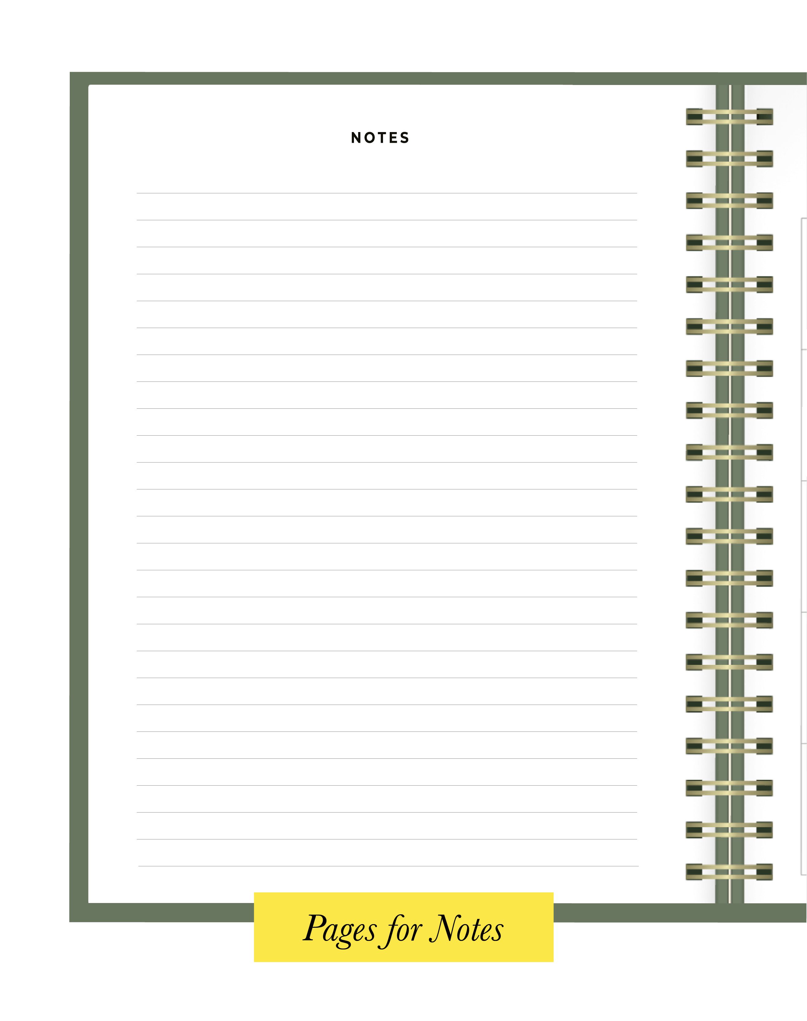 Pages of Promise