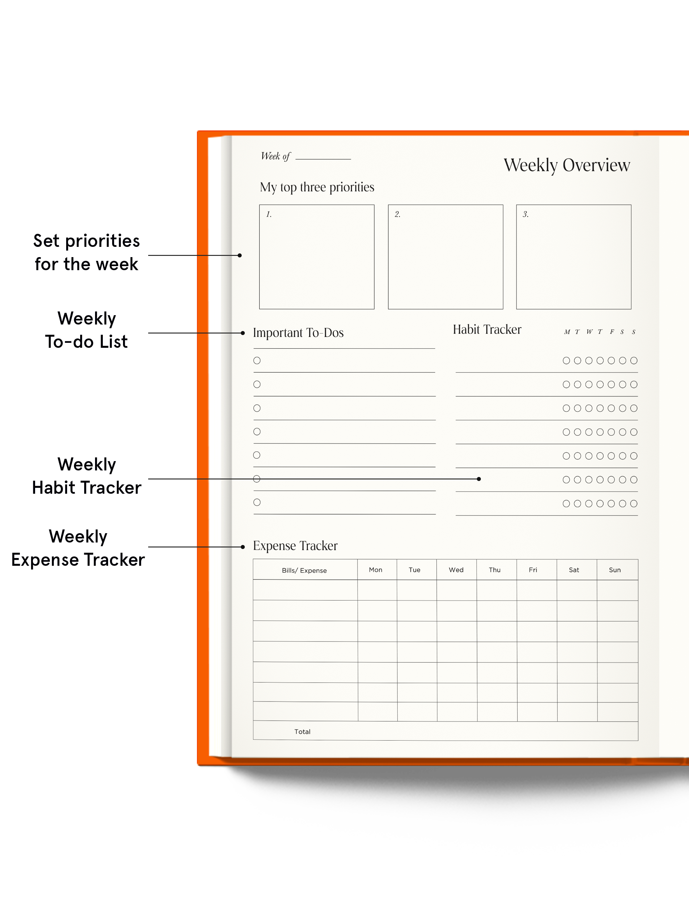 Pages of promise