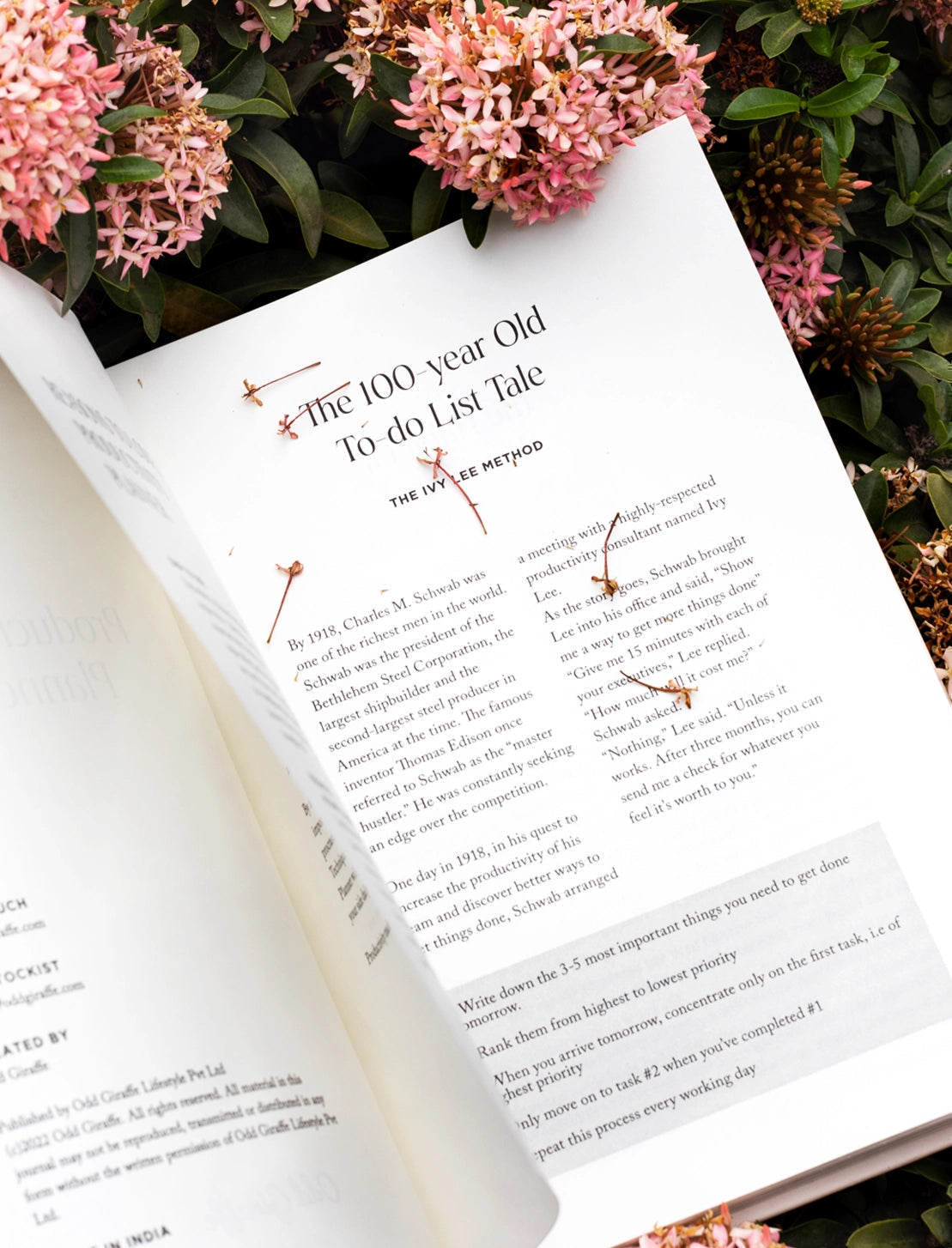 Pages of promise