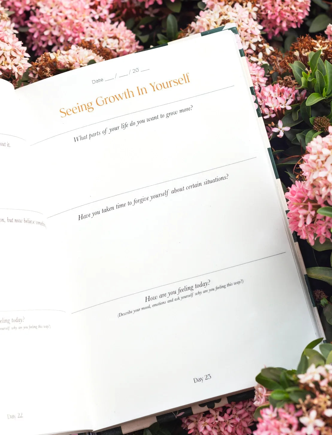 Pages of promise